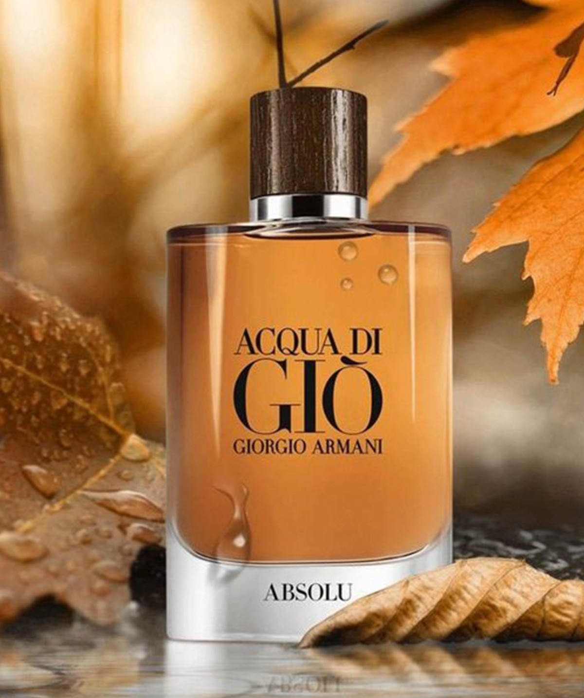 Giorgio Armani Acqua Di Gio Absolu EDP 125ml Men's Perfume